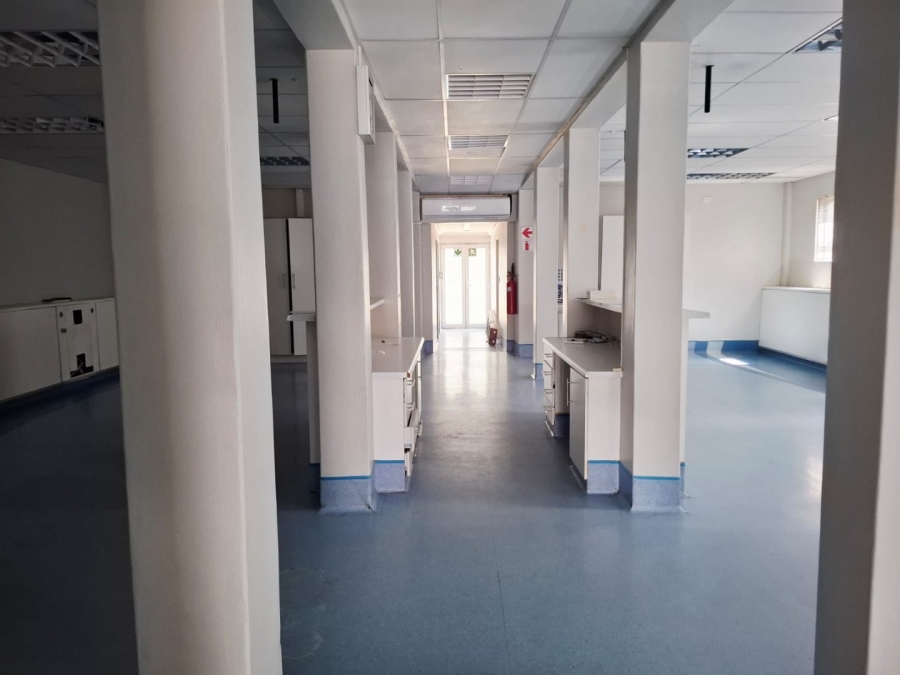 To Let commercial Property for Rent in Westdene Free State